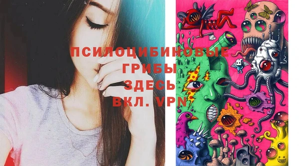 кокаин Краснослободск