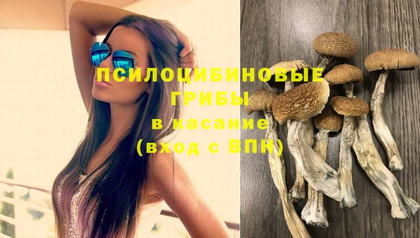 кокаин Краснослободск