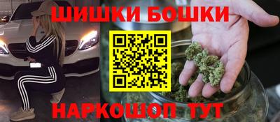 крисы Моздок