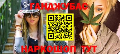 крисы Моздок