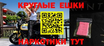 крисы Моздок
