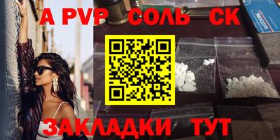 крисы Моздок
