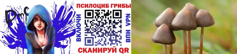 Псилоцибиновые грибы Magic Shrooms  Купить  Ишимбай 