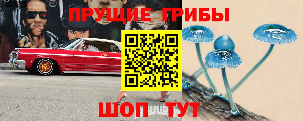 Галлюциногенные грибы Psilocybe Ишимбай