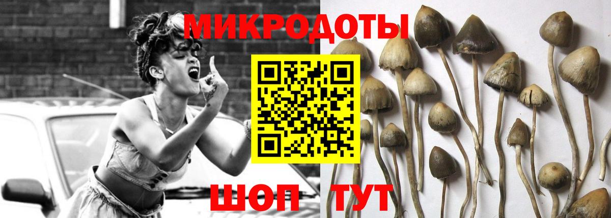 наркошоп  Ишимбай  Галлюциногенные грибы мицелий 